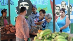 La decadencia de los agromercados: cuesti&oacute;n de escasez y estructura