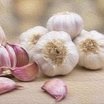 Garlic can lower total cholesterol, LDL cholesterol, and triglyceride levels.