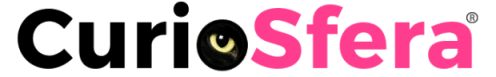 logo curiosfra icon