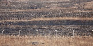 Image with missing alt attribute found on dailynk.com