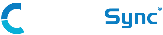 DealerSync logo