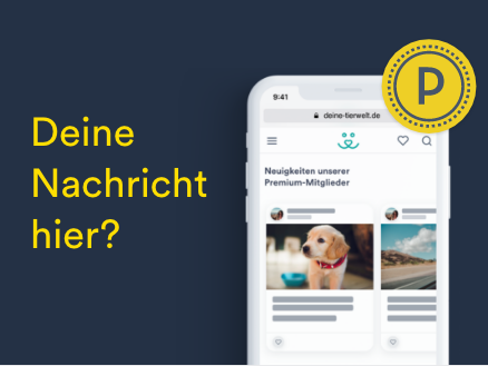 Image with missing alt attribute found on deine-tierwelt.de