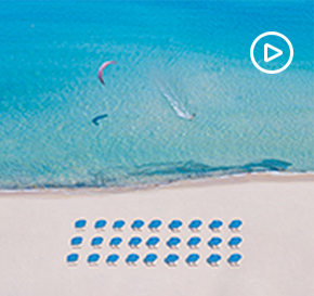 Image with missing alt attribute found on delphina.it