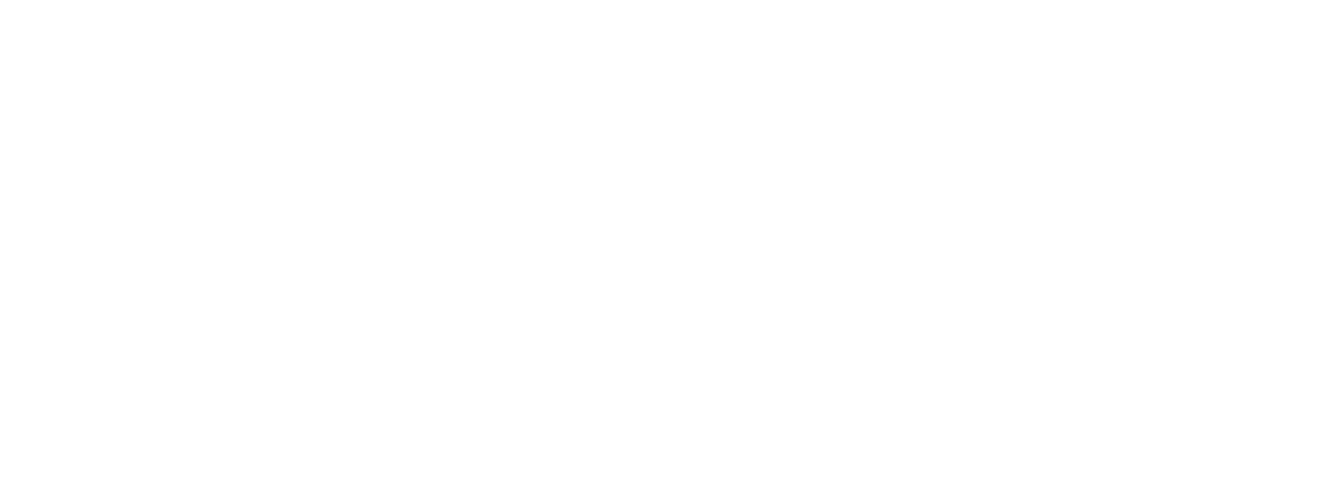 D&eacute;placements Pros