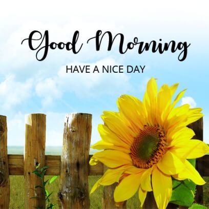 Image with missing alt attribute found on desicomments.com