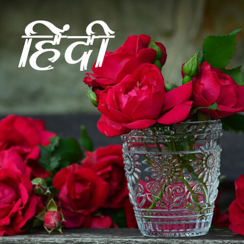 Image with missing alt attribute found on desicomments.com