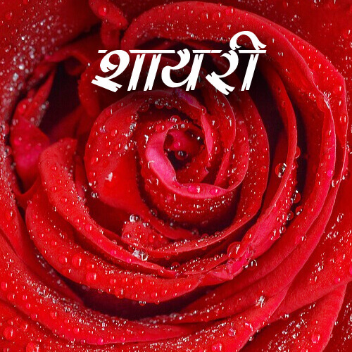 Image with missing alt attribute found on desicomments.com