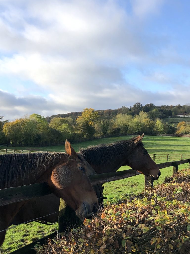 Image with missing alt attribute found on designmom.com