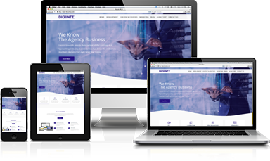 Image with missing alt attribute found on digiinte.com