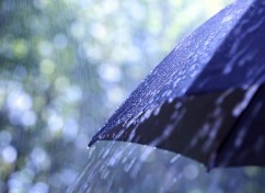 Image with missing alt attribute found on dimokratiki.gr