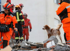 Image with missing alt attribute found on dimokratiki.gr