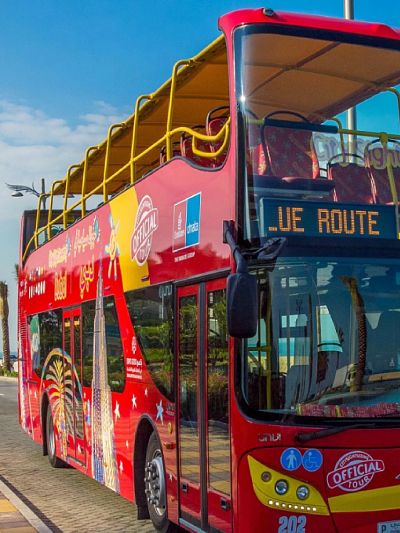 Image with missing alt attribute found on dishaglobaltours.com