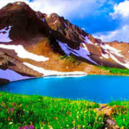 Image with missing alt attribute found on divineuttarakhand.in