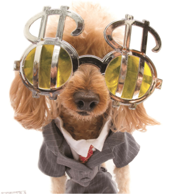 Image with missing alt attribute found on dogster.com