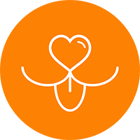 Image with missing alt attribute found on dogtopia.com