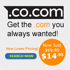 Image with missing alt attribute found on domainit.com