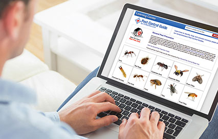 Image with missing alt attribute found on domyown.com