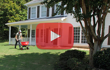 Image with missing alt attribute found on domyown.com