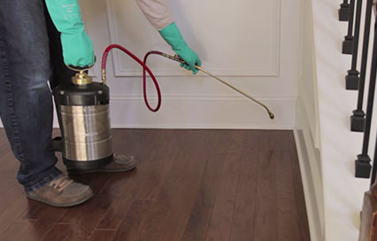 Image with missing alt attribute found on domyown.com