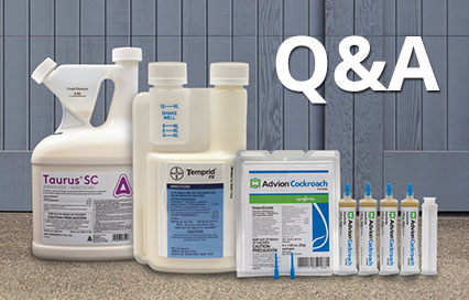 Image with missing alt attribute found on domyown.com