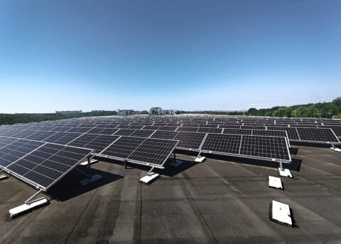 Image with missing alt attribute found on dosvid.com.ua