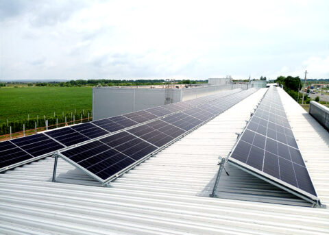 Image with missing alt attribute found on dosvid.com.ua