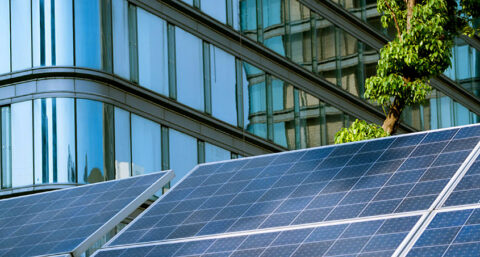 Image with missing alt attribute found on dosvid.com.ua