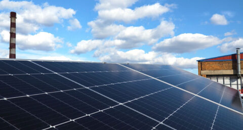 Image with missing alt attribute found on dosvid.com.ua