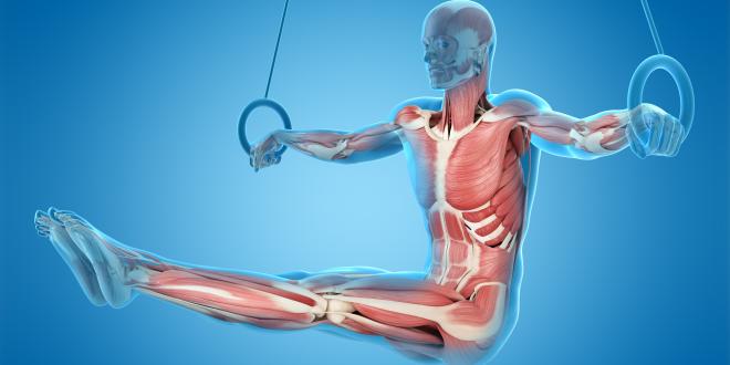 Image with missing alt attribute found on dr-gumpert.de