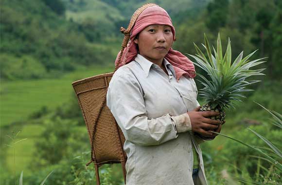 Image with missing alt attribute found on drawdown.org