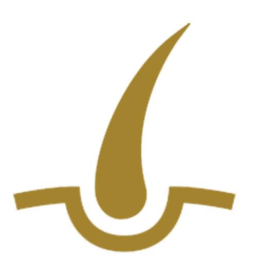 Image with missing alt attribute found on drjagdeeprao.com