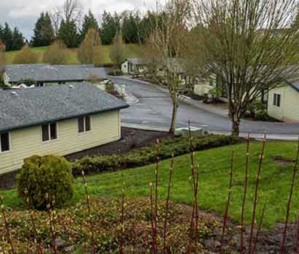 Image with missing alt attribute found on drugrehab.com