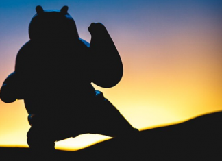 Image with missing alt attribute found on dumblittleman.com