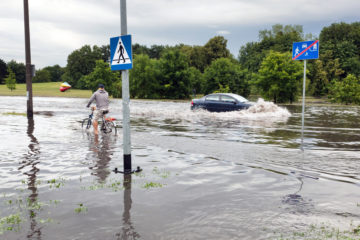 Image with missing alt attribute found on dutchnews.nl