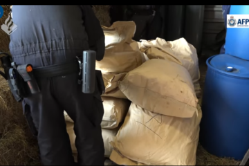 Image with missing alt attribute found on dutchnews.nl