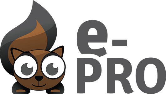 Image with missing alt attribute found on e-pro.fr