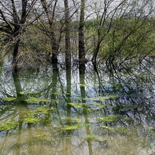 Image with missing alt attribute found on edf.fr