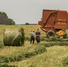 Image with missing alt attribute found on educationworld.com