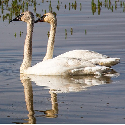 Image with missing alt attribute found on educationworld.com