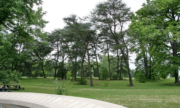 Egypt launches campaign to plant 1 M trees nationwide