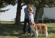 Image with missing alt attribute found on el-carabobeno.com