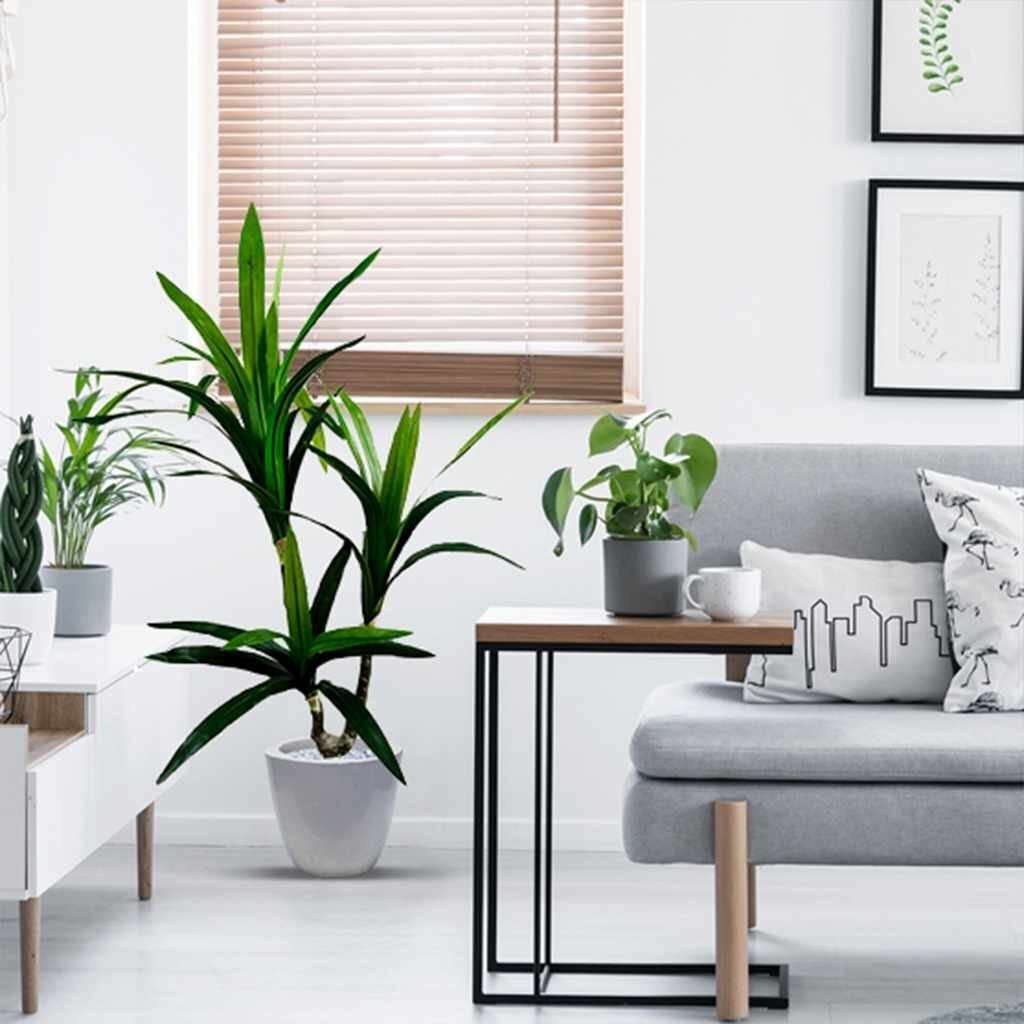 Image with missing alt attribute found on elen.in