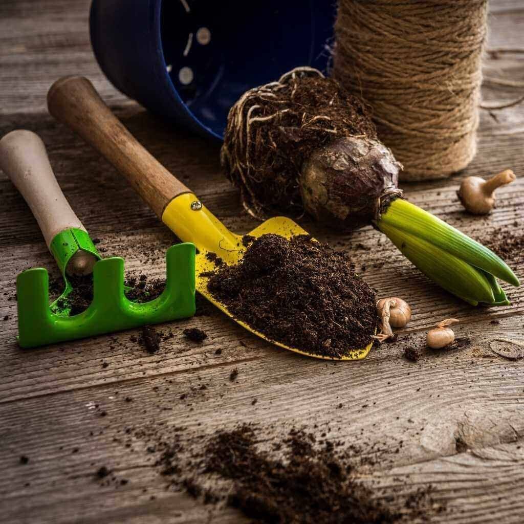 Image with missing alt attribute found on elen.in