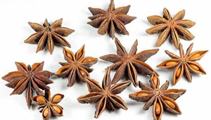 Image with missing alt attribute found on elicriso.it