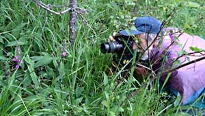 Image with missing alt attribute found on elicriso.it