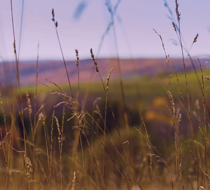 Image with missing alt attribute found on elliance.com