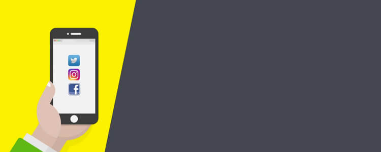 Image with missing alt attribute found on pl-perseo.net