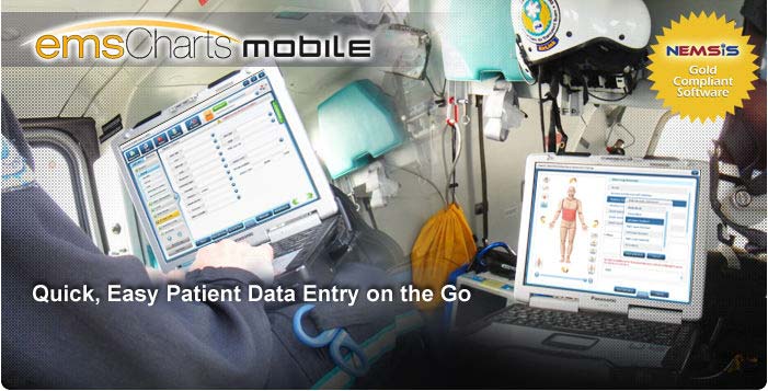 Image with missing alt attribute found on emscharts.com