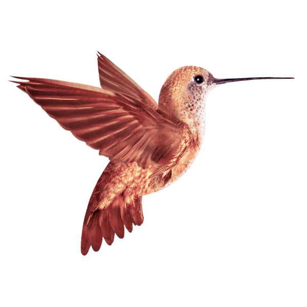 Image with missing alt attribute found on enginethemes.com