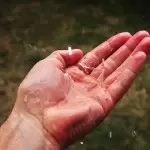 Image with missing alt attribute found on environmentalscience.org